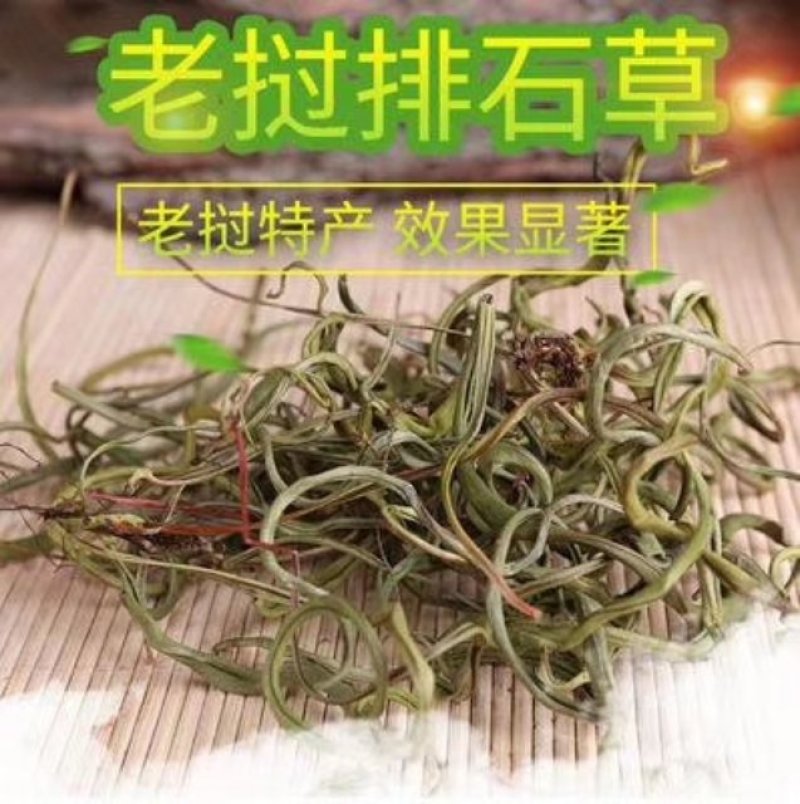 化石草一手货源大量批发