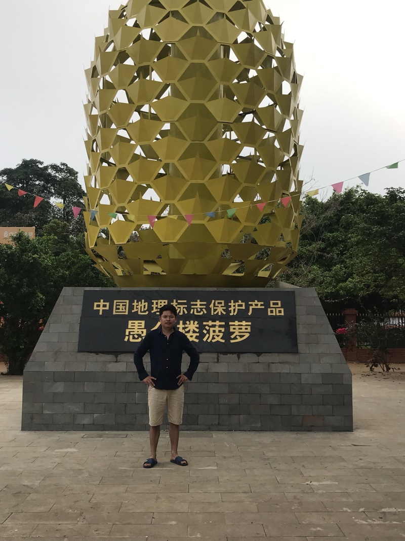 湛江小菠萝一件代发包邮包售后