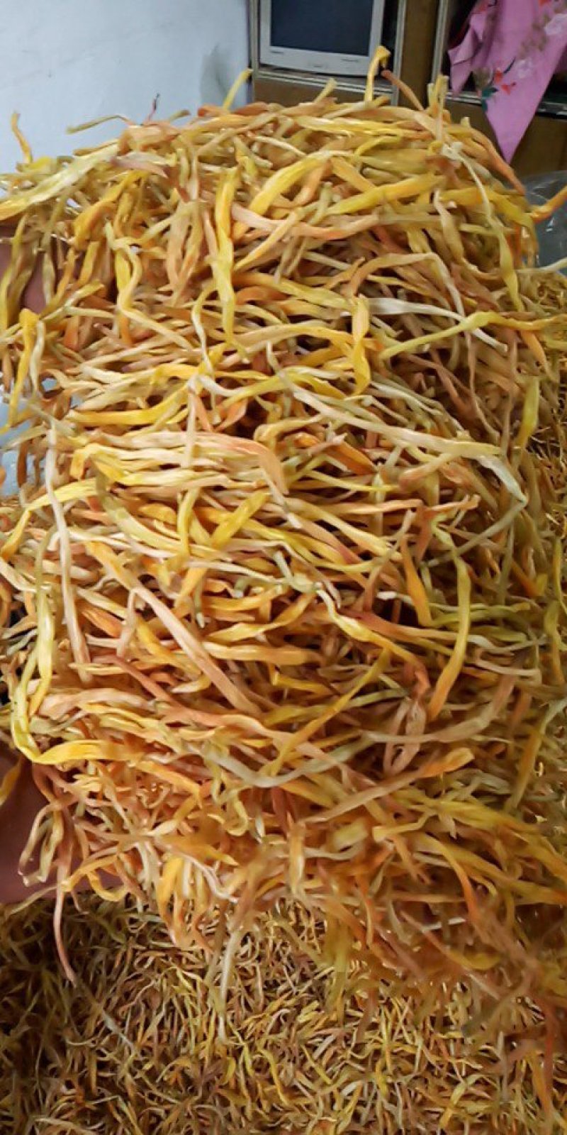 黄花菜种苗10cm以下
