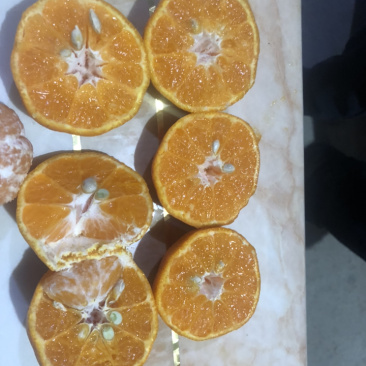 福建芦柑出口的质量*后一批包好吃4毛钱