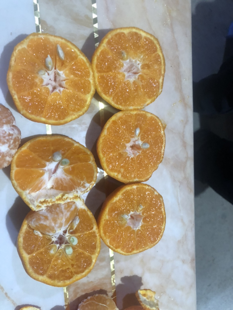 福建芦柑出口的质量*后一批包好吃4毛钱