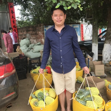湛江小菠萝一件代发包邮包售后