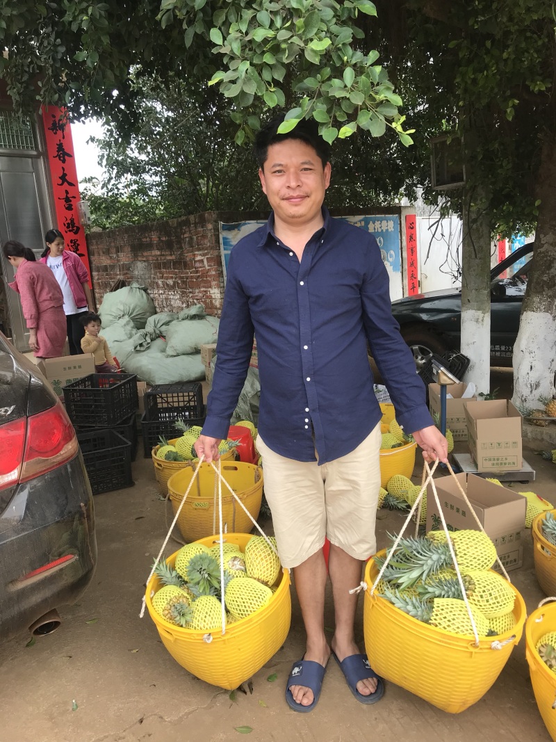 湛江小菠萝一件代发包邮包售后
