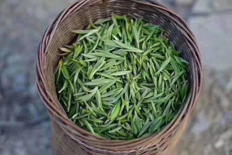 春茶黄山毛峰特级明前茶高山茶
