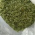 春茶黄山毛峰特级明前茶高山茶