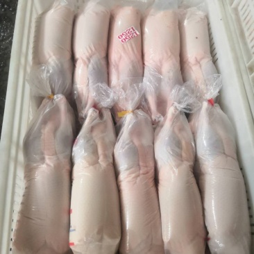 白条鸭