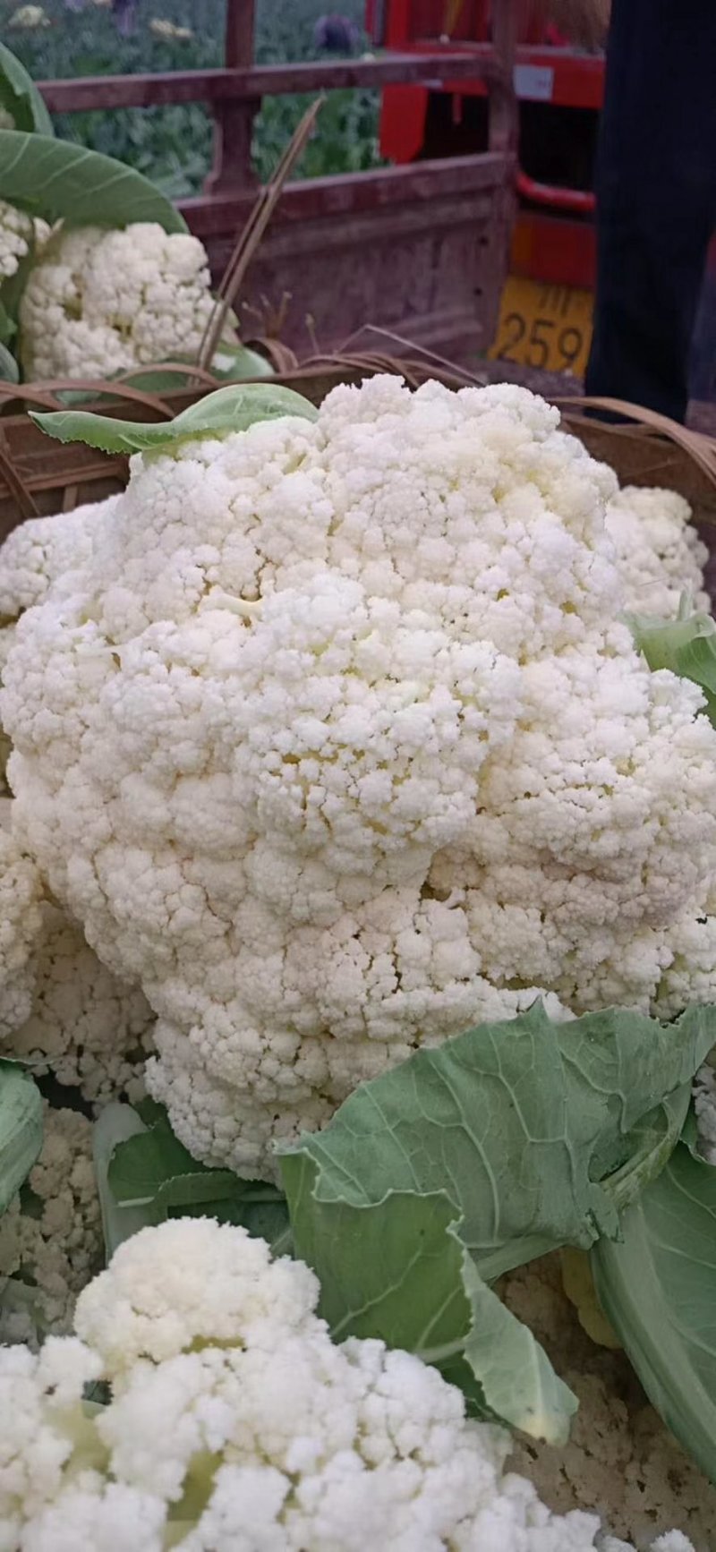 散花