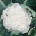 散花