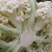 散花