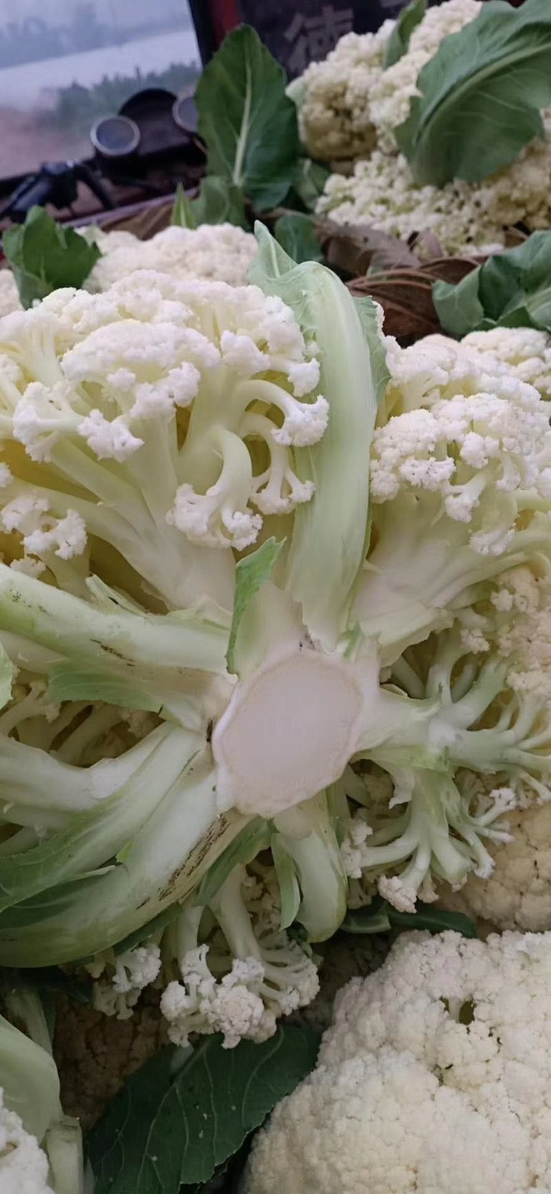 散花