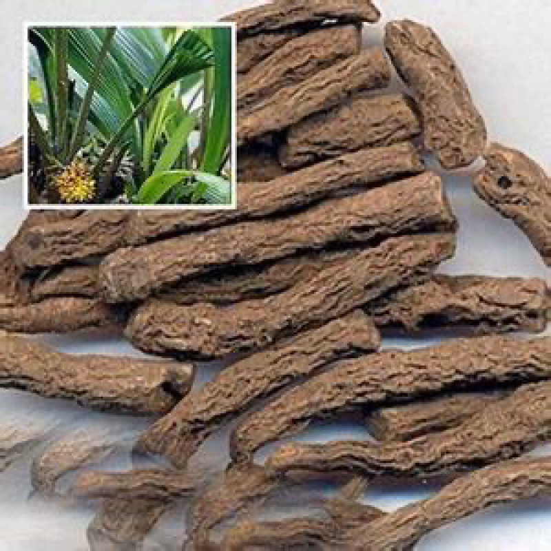 仙茅先矛仙茅根地棕根独脚仙茅独仙农家初选农副产品