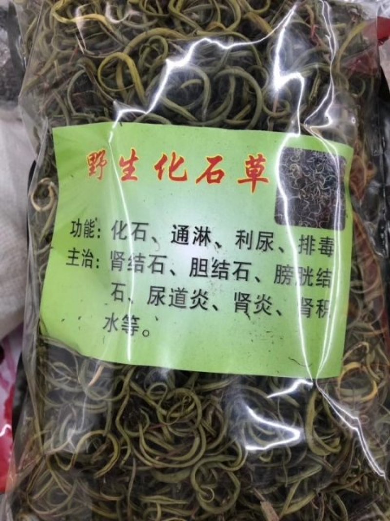 化石草/肾精茶一手货源批发