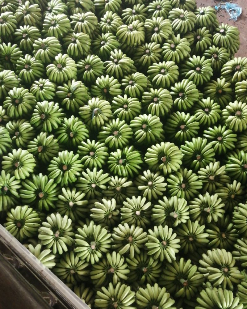 水果