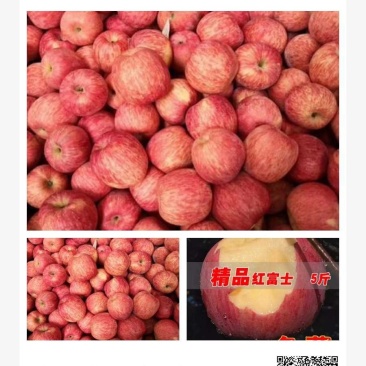 正宗烟台红富士苹果，产地有长期货源需要老板可以联系我