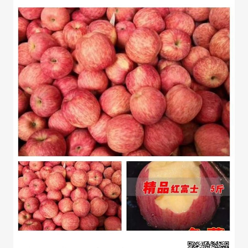 正宗烟台红富士苹果，产地有长期货源需要老板可以联系我