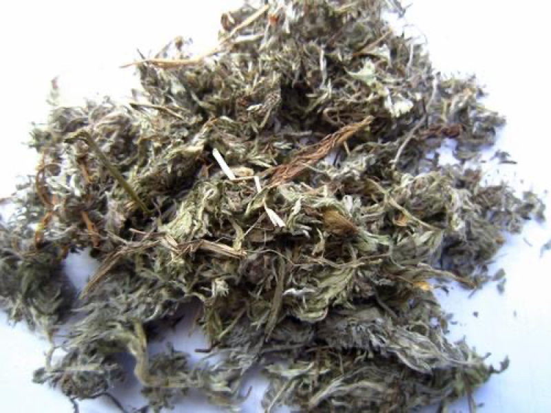 茵陈500g包邮绵茵陈白蒿草茵陈粉茵陈茶