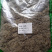 茵陈500g包邮绵茵陈白蒿草茵陈粉茵陈茶