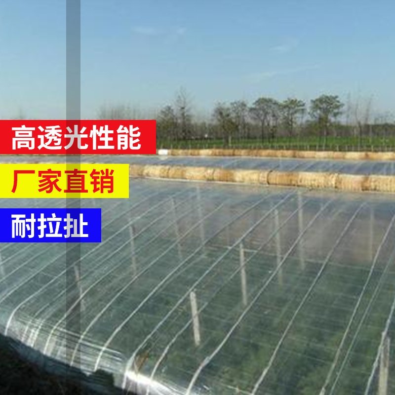 po膜黑白膜长寿无滴膜大棚农膜地膜