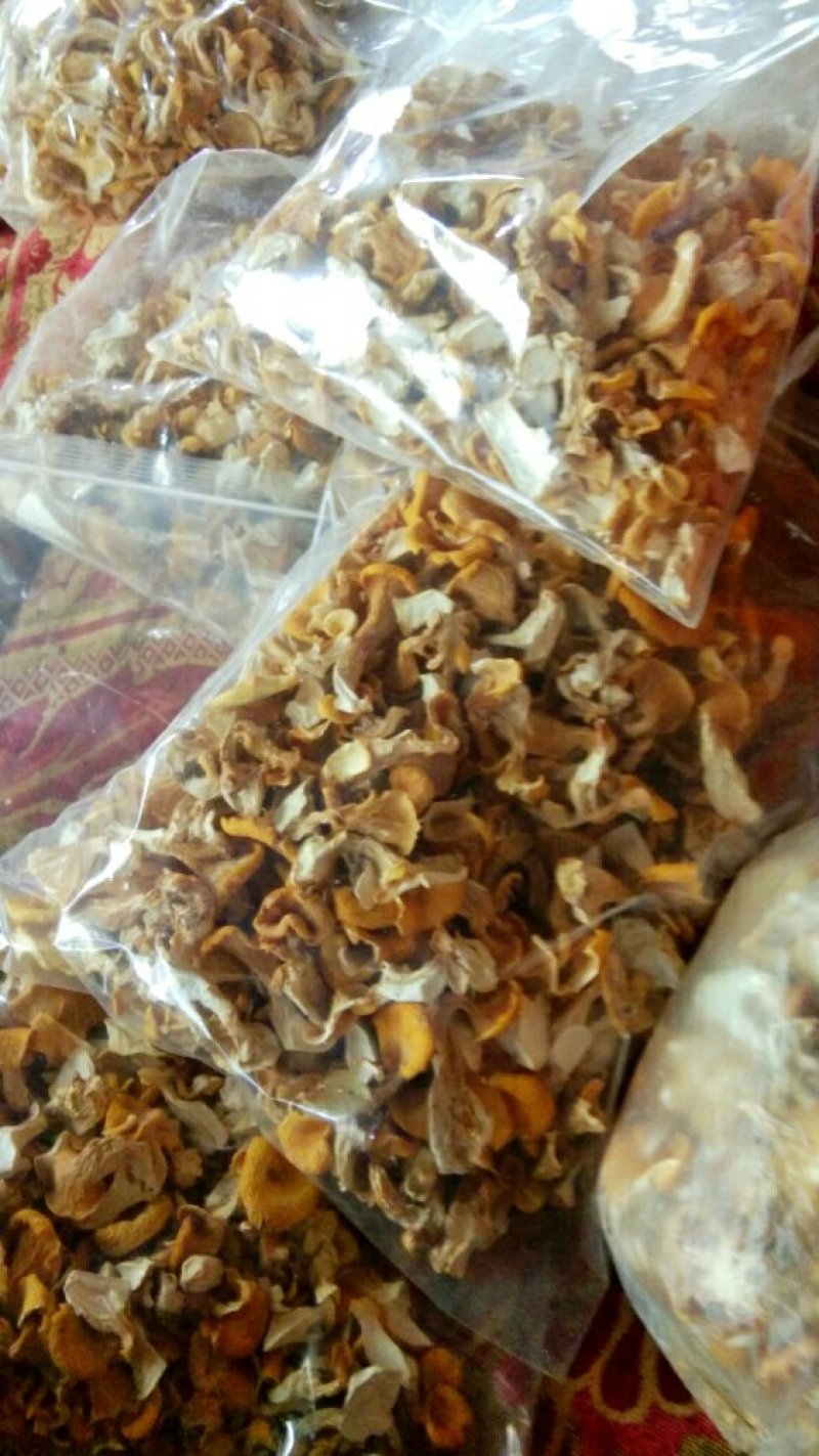 食用菌，鸡油黄，干菌
