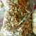 食用菌，鸡油黄，干菌
