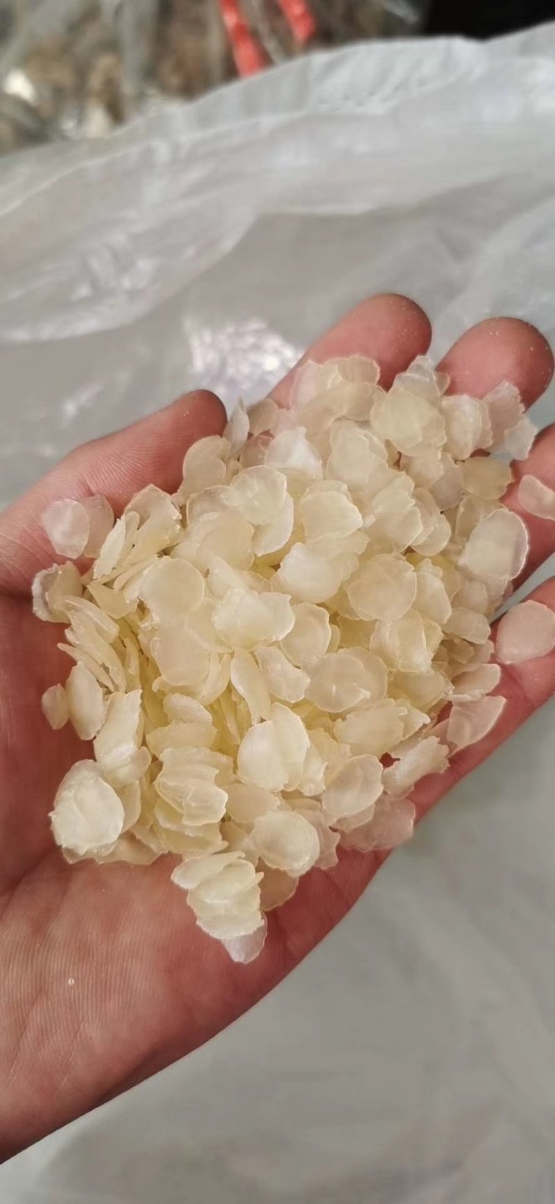 产地货源批发雪莲子/皂角米