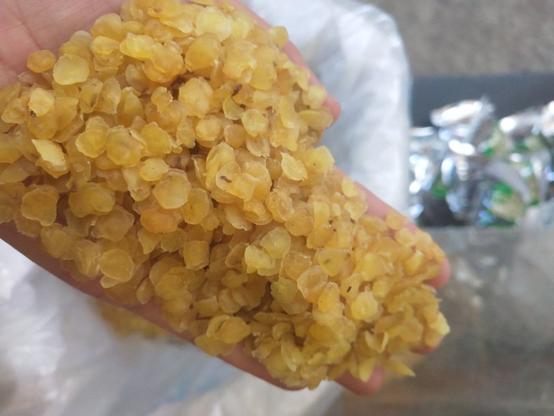 产地货源批发雪莲子/皂角米