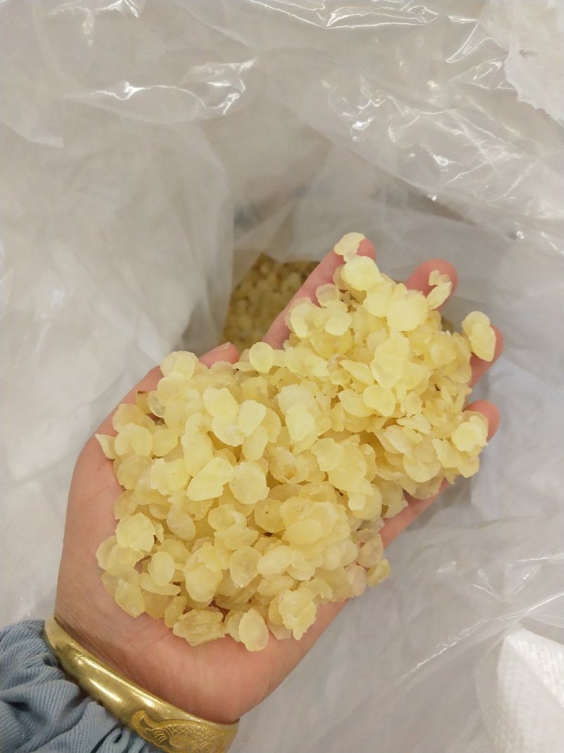 产地货源批发雪莲子/皂角米