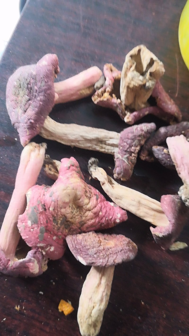 伏牛山【精选红菇】天然野生味道鲜美量大从优