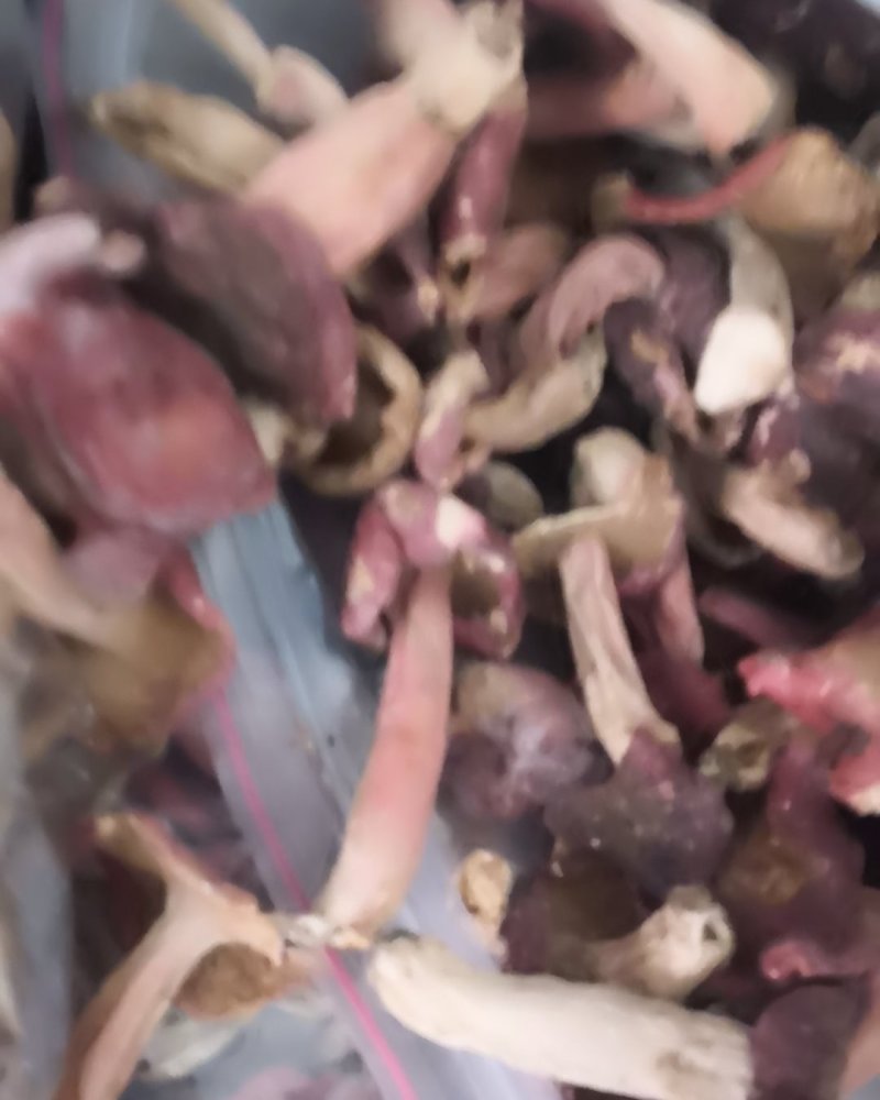 伏牛山【精选红菇】天然野生味道鲜美量大从优