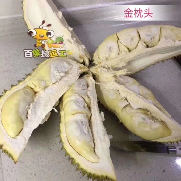 泰国金枕榴莲一件(个)包邮代发