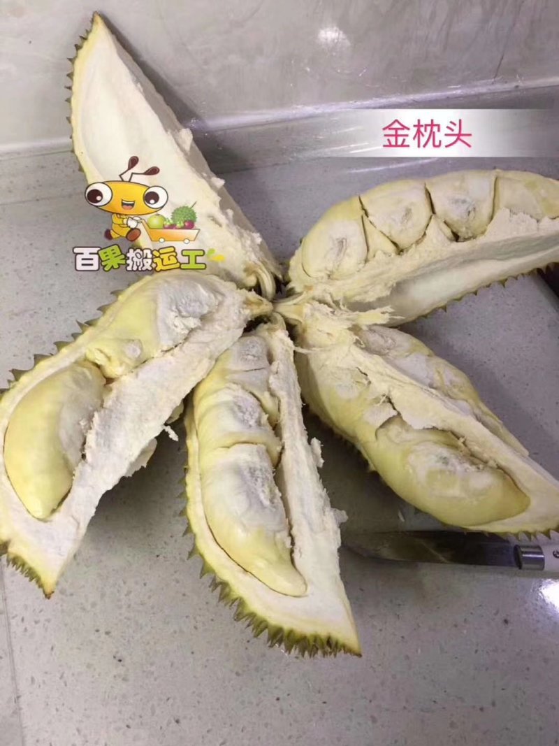 泰国金枕榴莲一件(个)包邮代发