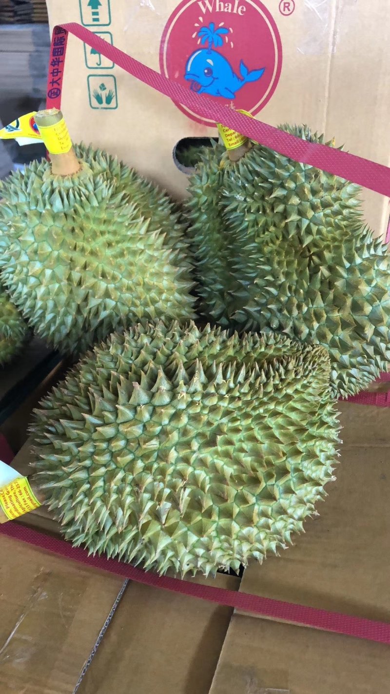 泰国金枕榴莲一件(个)包邮代发