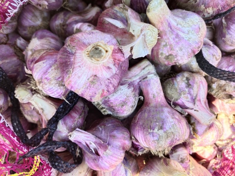 弥渡特产红蒜白皮紫蒜独头蒜已大量上市！价格便宜！蒜质好…