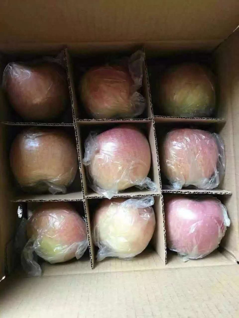 红富士
