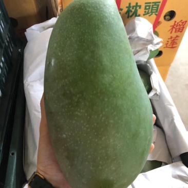 越南大青芒一件包邮代发