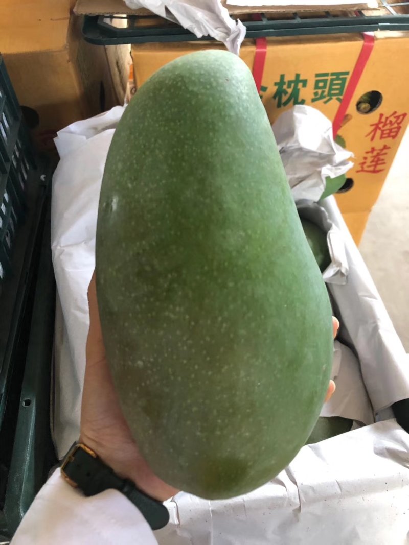 越南大青芒一件包邮代发