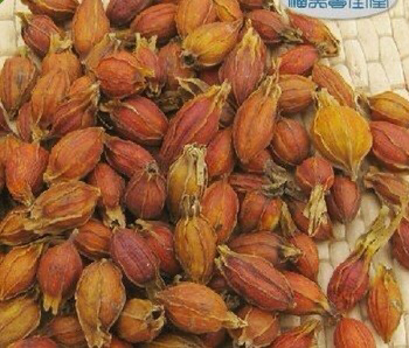 干陈皮陈皮干老陈皮农家初选农副土特产品111