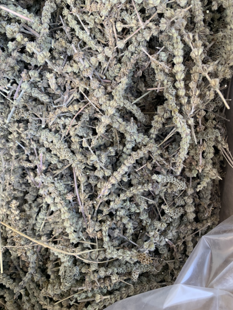 【荆芥穂】荆芥穗量大从优物美价廉产地直供