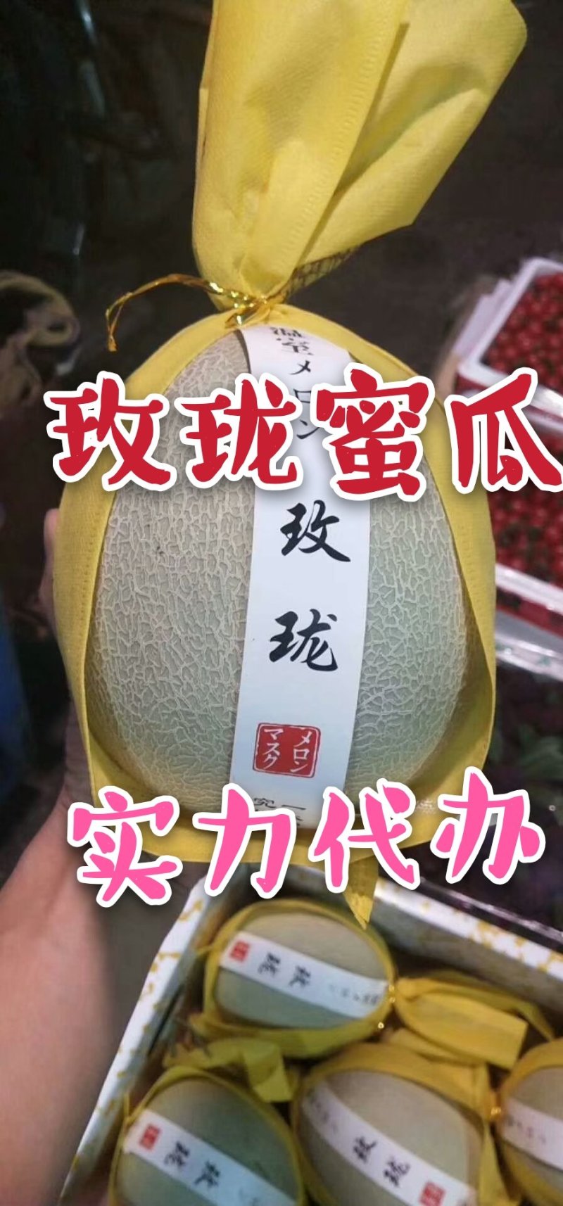 鲁厚甜网纹瓜实力代办一件代发对接各大电商