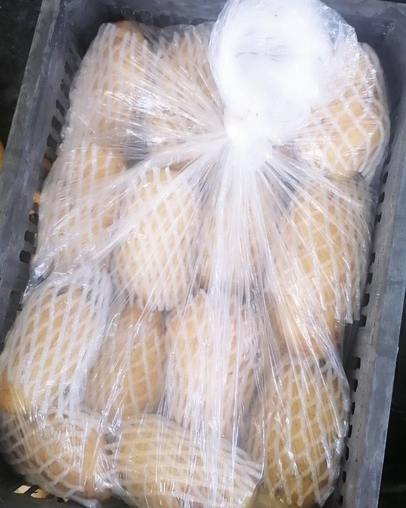 土豆加工