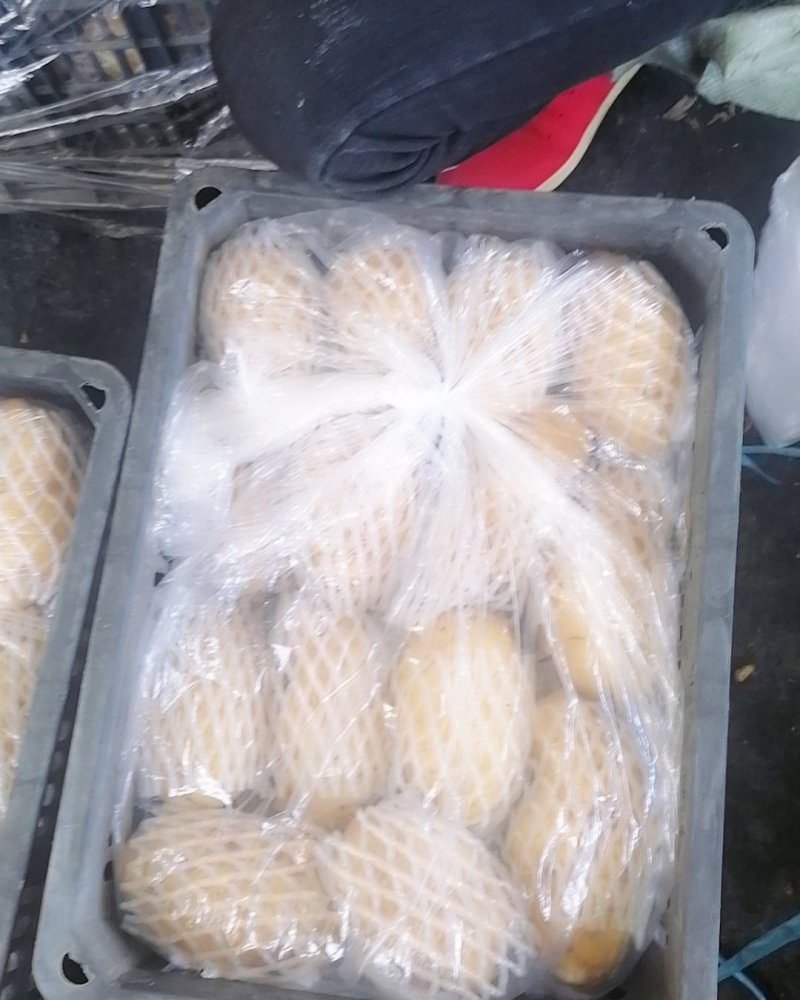 土豆加工