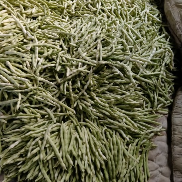 白不老精品芸豆