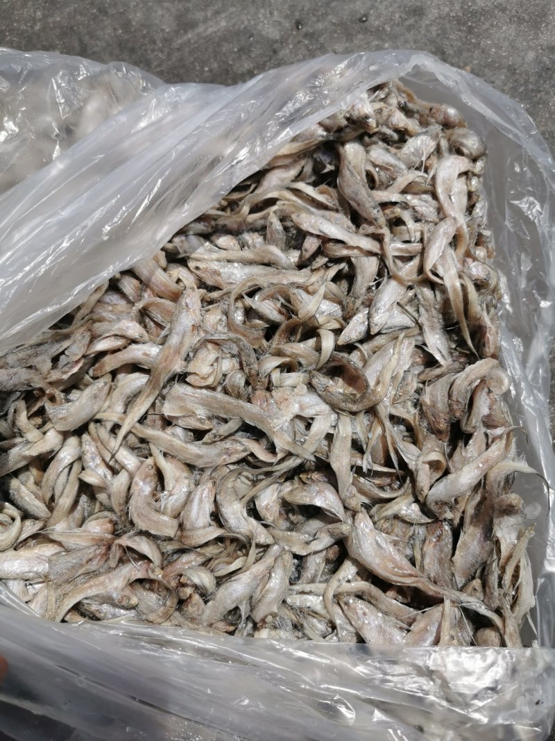 刀鲫鱼鲫鱼螃蟹料