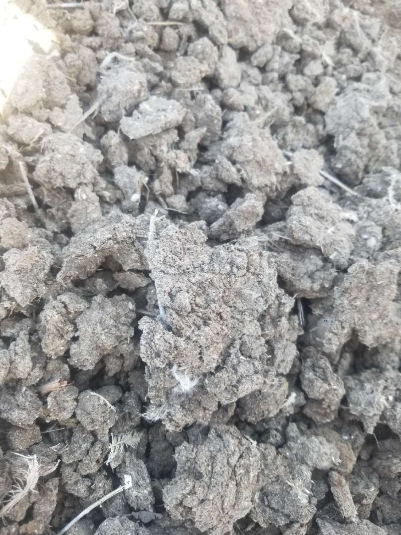山东省德州市夏津县有机肥干鸡粪厂家直销保证质量
