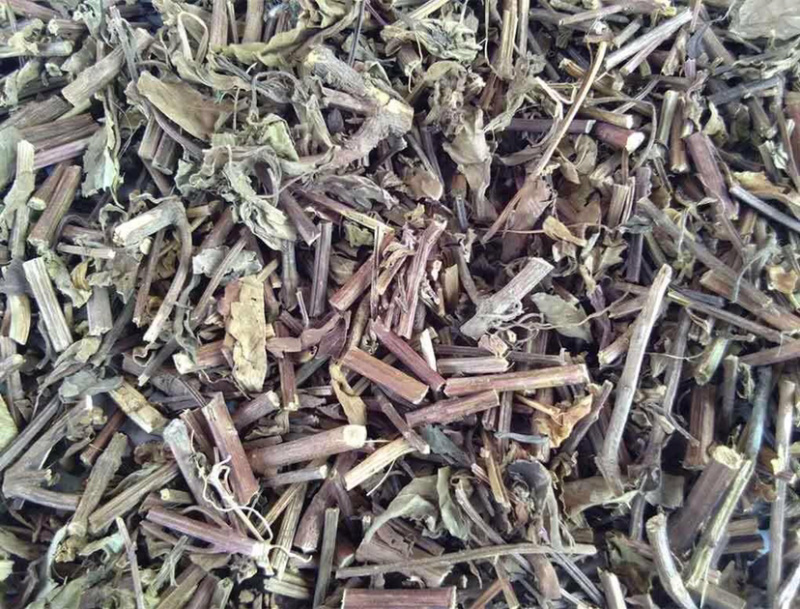 中药材猫须草猫须草农家自种农家初选111