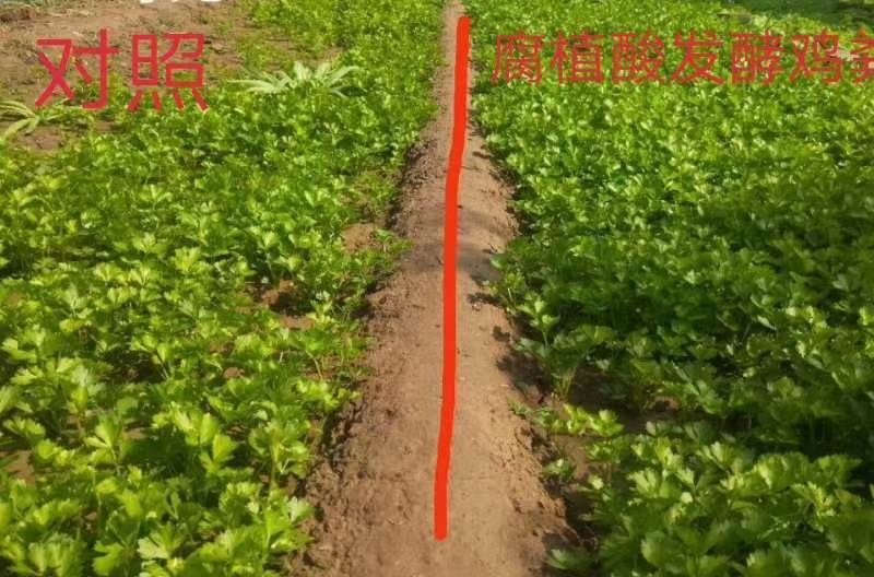 腐植酸发酵鸡粪增强底肥动力放心使用的好肥有机肥