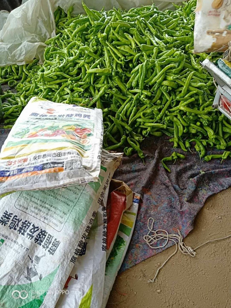 腐植酸发酵鸡粪增强底肥动力放心使用的好肥有机肥