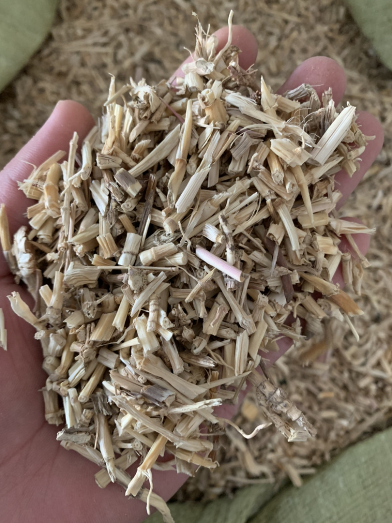 【白茅根】白茅根量大从优统物美价廉