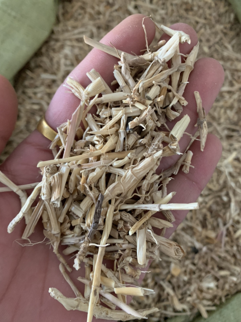 【白茅根】白茅根量大从优统物美价廉