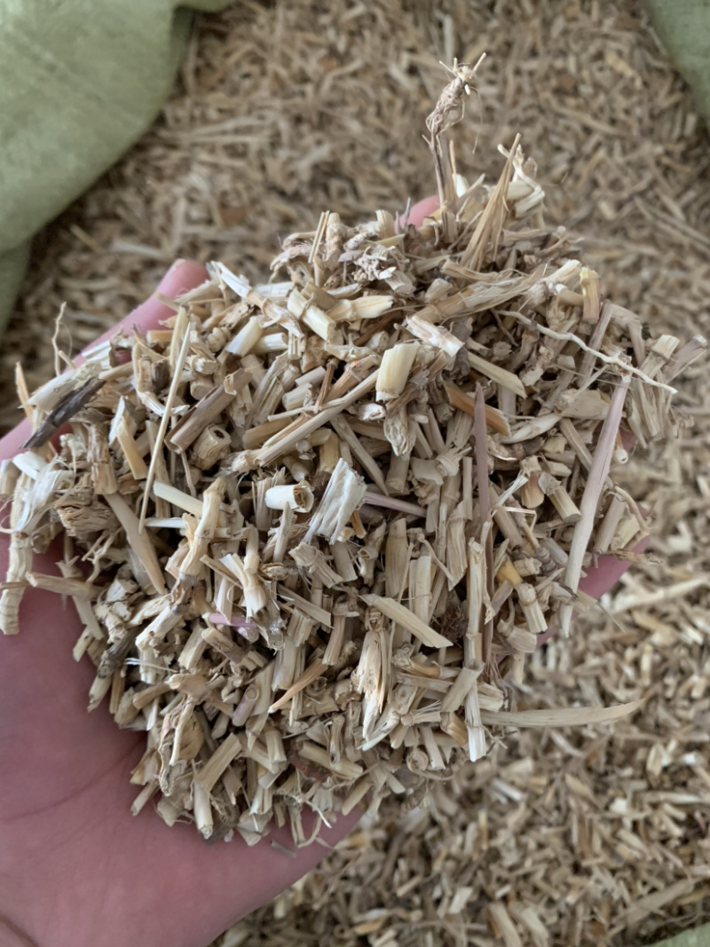 【白茅根】白茅根量大从优统物美价廉